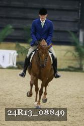 24R13_08849 thumbnail