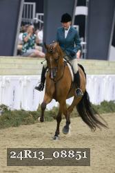 24R13_08851 thumbnail