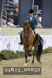 24R13_08852 thumbnail