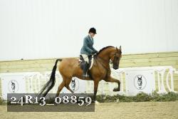 24R13_08859 thumbnail
