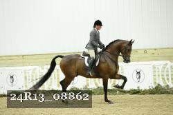 24R13_08862 thumbnail