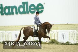 24R13_08863 thumbnail