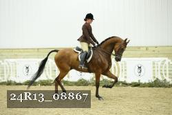 24R13_08867 thumbnail