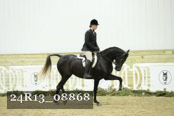 24R13_08868 thumbnail
