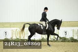 24R13_08869 thumbnail