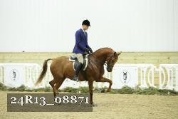 24R13_08871 thumbnail