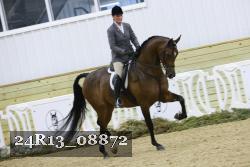 24R13_08872 thumbnail