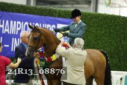 24R13_08876 thumbnail