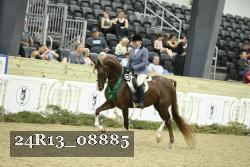 24R13_08885 thumbnail