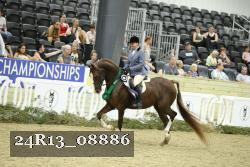 24R13_08886 thumbnail