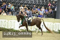 24R13_08889 thumbnail