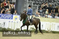 24R13_08895 thumbnail
