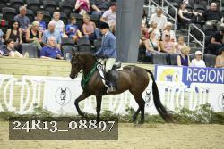 24R13_08897 thumbnail