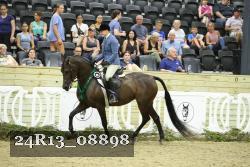 24R13_08898 thumbnail