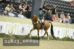 24R13_08899 thumbnail