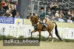 24R13_08900 thumbnail