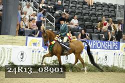 24R13_08901 thumbnail