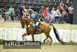 24R13_08902 thumbnail