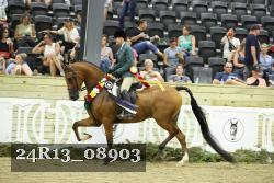 24R13_08903 thumbnail