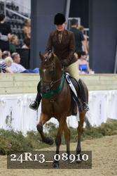 24R13_08910 thumbnail