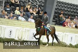24R13_08911 thumbnail