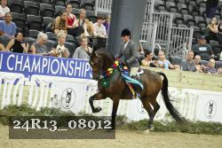 24R13_08912 thumbnail