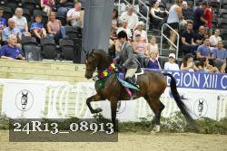 24R13_08913 thumbnail