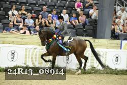 24R13_08914 thumbnail