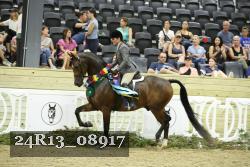 24R13_08917 thumbnail