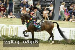 24R13_08918 thumbnail