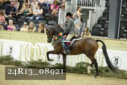 24R13_08921 thumbnail