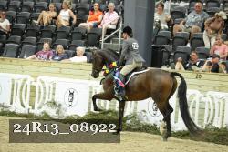 24R13_08922 thumbnail