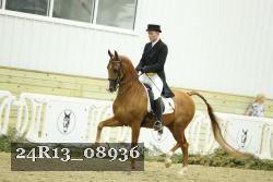 24R13_08936 thumbnail