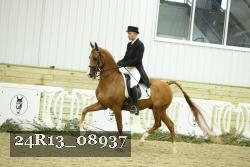 24R13_08937 thumbnail