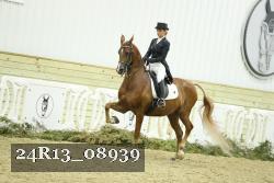 24R13_08939 thumbnail