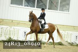 24R13_08940 thumbnail