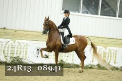 24R13_08941 thumbnail