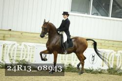 24R13_08943 thumbnail