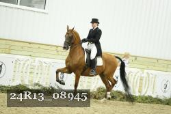 24R13_08945 thumbnail