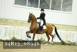 24R13_08946 thumbnail