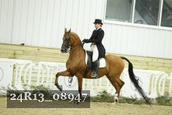 24R13_08947 thumbnail