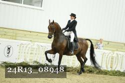 24R13_08948 thumbnail