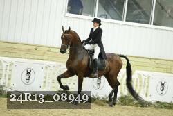 24R13_08949 thumbnail