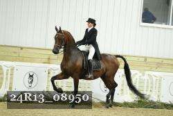 24R13_08950 thumbnail
