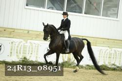24R13_08951 thumbnail