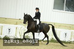 24R13_08952 thumbnail