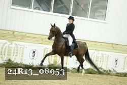 24R13_08953 thumbnail