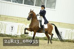24R13_08955 thumbnail