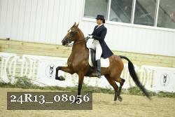 24R13_08956 thumbnail