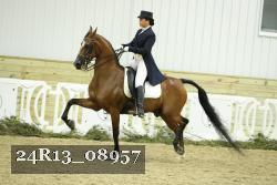 24R13_08957 thumbnail